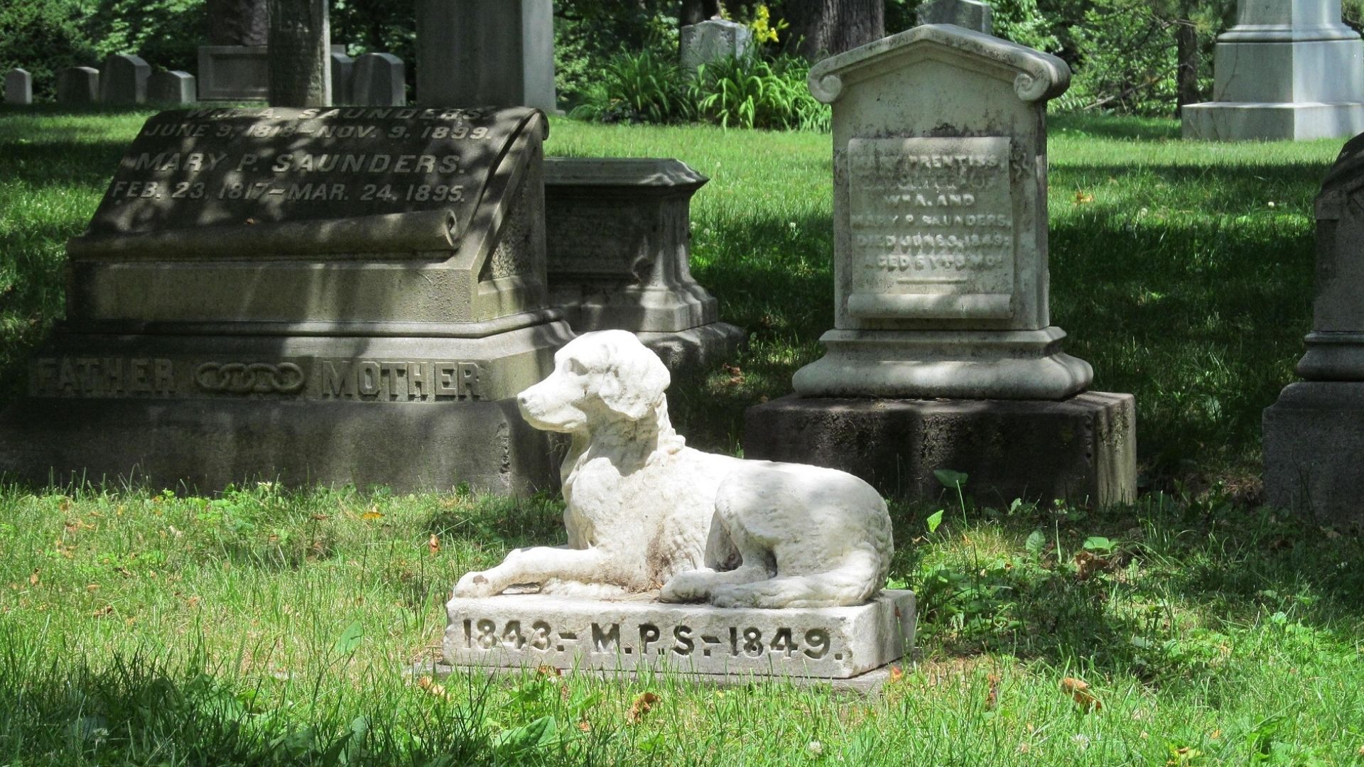 Pet cemetery