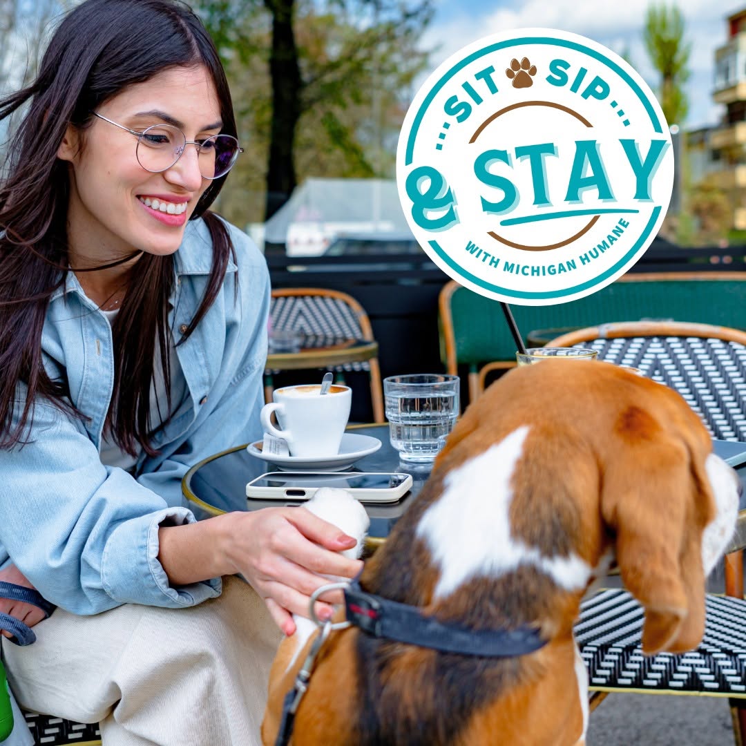 Person with glasses and long flowy hair with dog outdoors at a cafe.