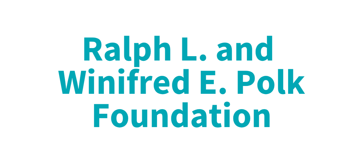 Polk Foundation