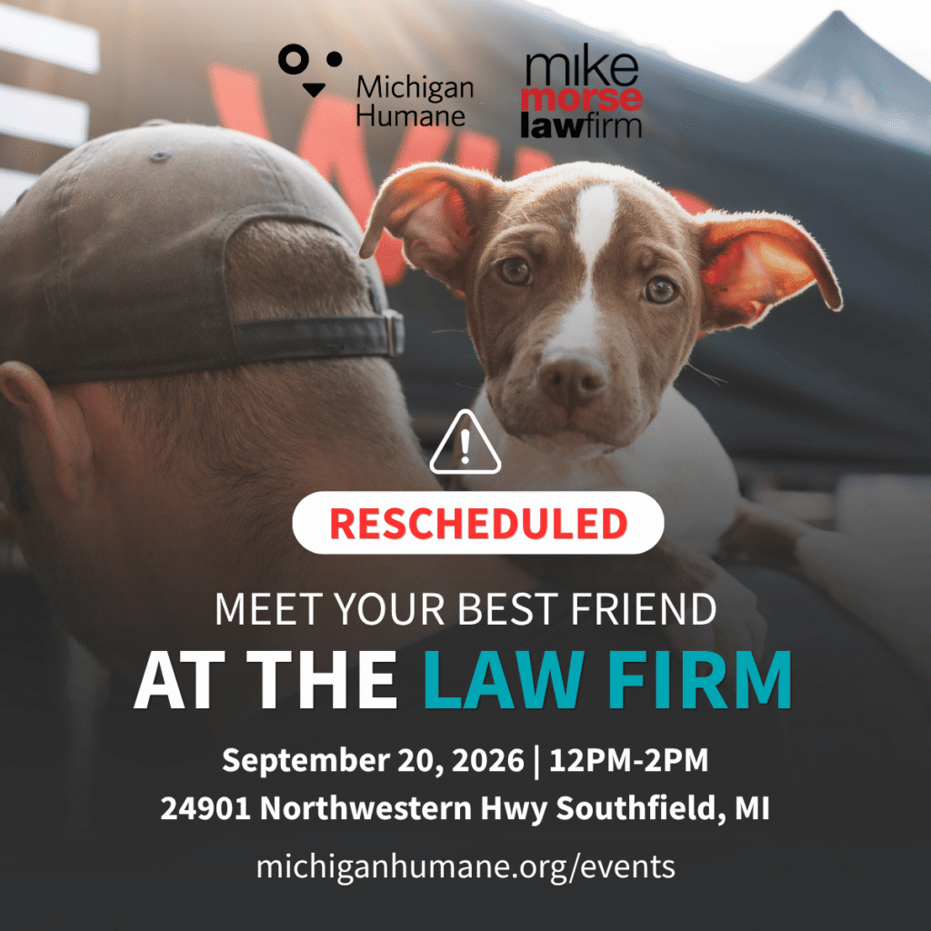 Rescheduled Meet Your Best Friend