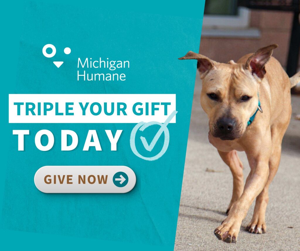 Triple Your Gift Today